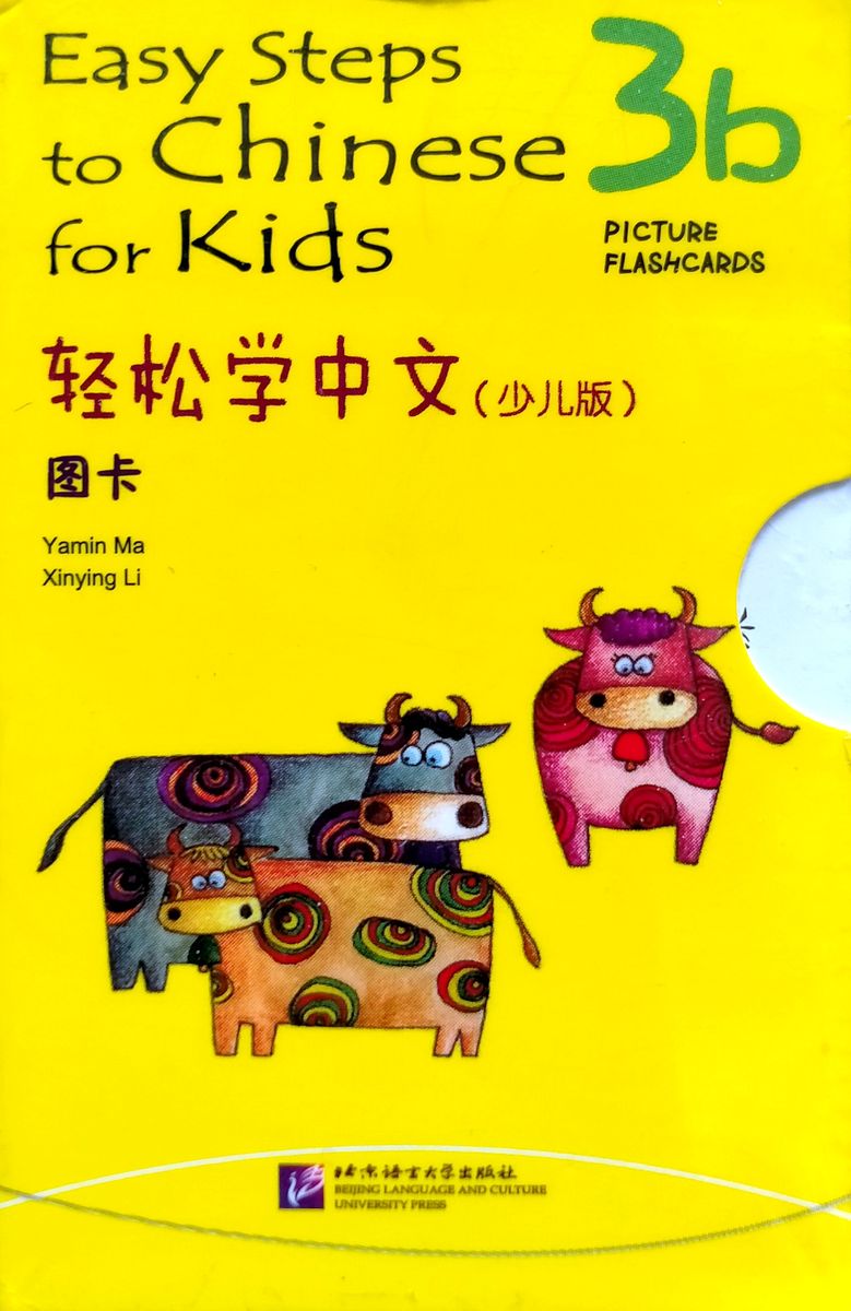 EASY STEPS TO CHINESE FOR KIDS 3b Picture Flashcards