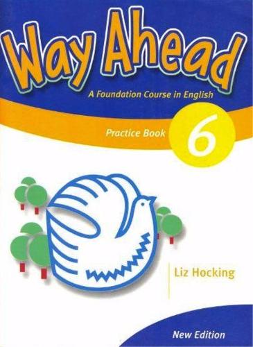 NEW WAY AHEAD 6 Grammar Practice Book