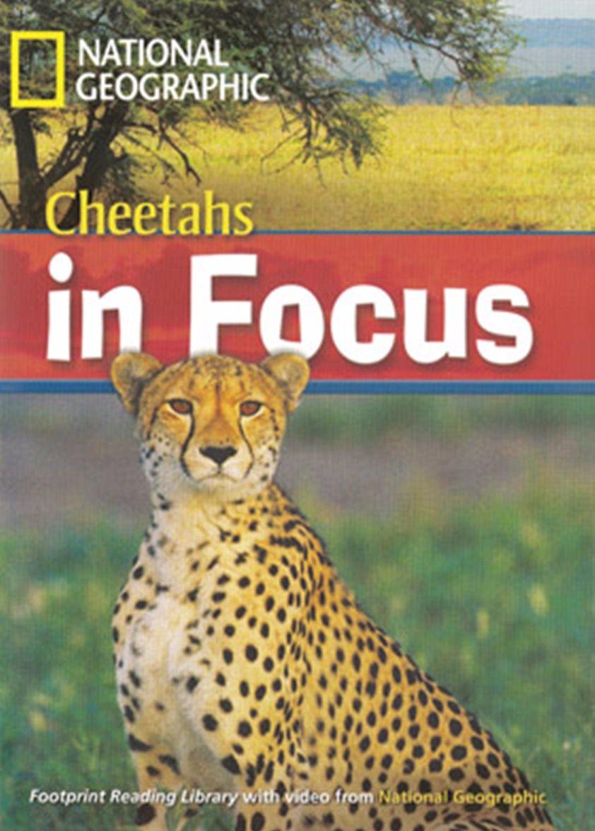 CHEETAH IN FOCUS (FOOTPRINT READING LIBRARY B2,HEADWORDS 2200) Book+MultiROM
