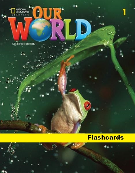 OUR WORLD 2nd ED 1 Flashcards