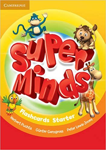 SUPER MINDS Starter Flashcards 