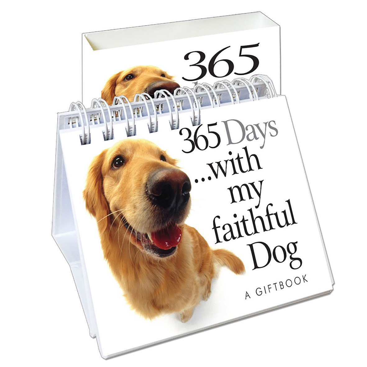HE 365 Days with my faithful Dog