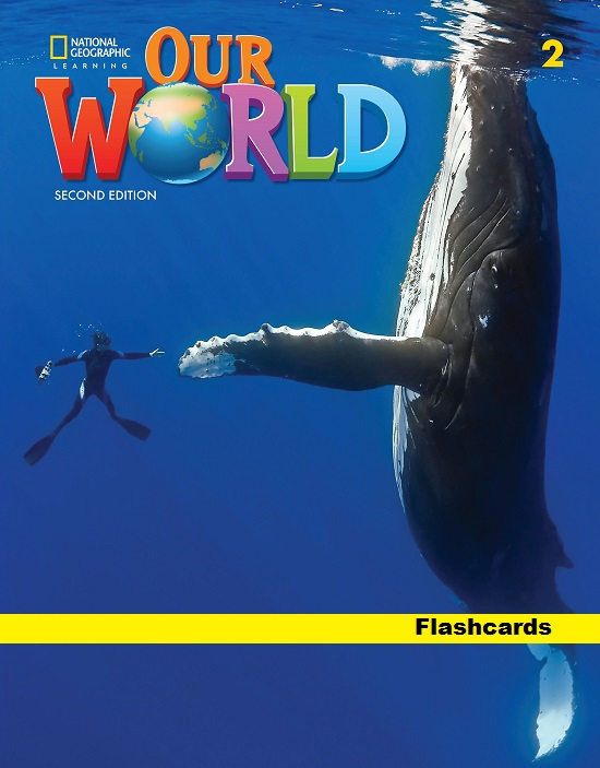 OUR WORLD 2nd ED 2 Flashcards