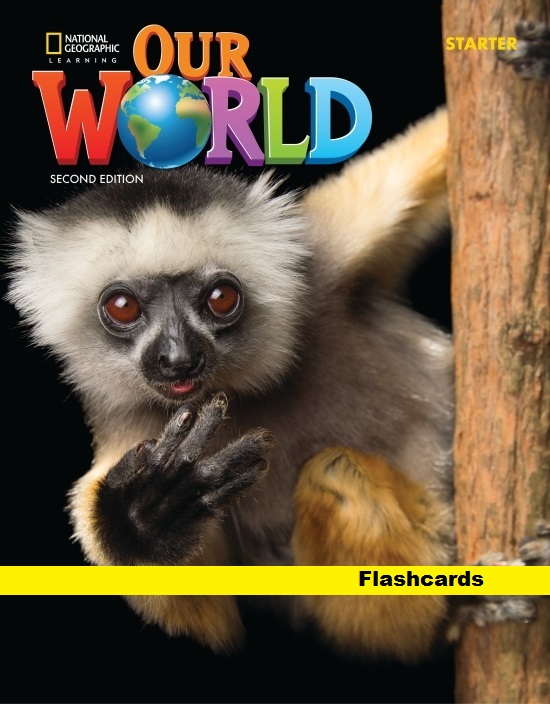 OUR WORLD 2nd ED STARTER Flashcards