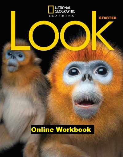 LOOK STARTER Online Workbook