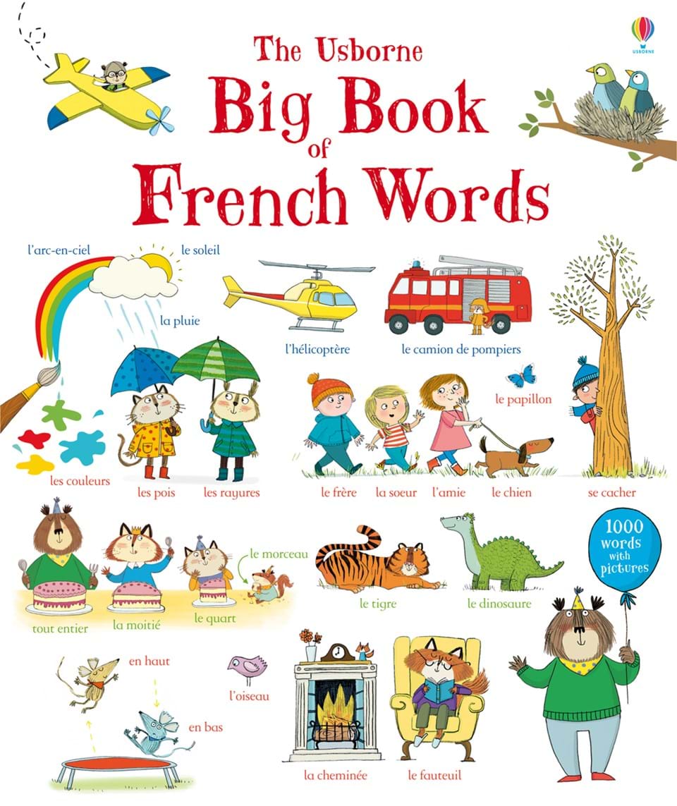 BIG BOOK OF FRENCH WORDS Book 