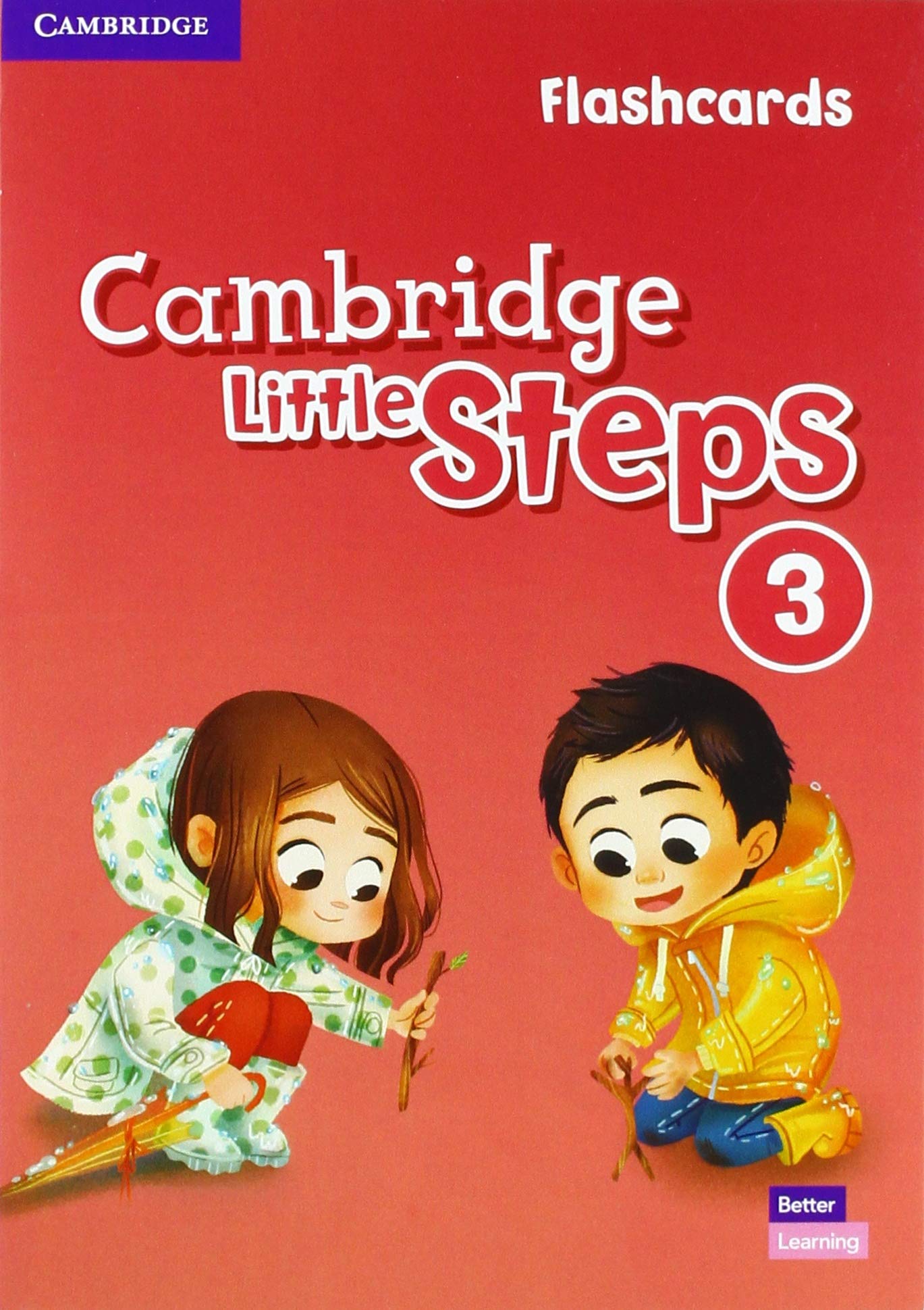 CAMBRIDGE LITTLE STEPS 3 Flashcards