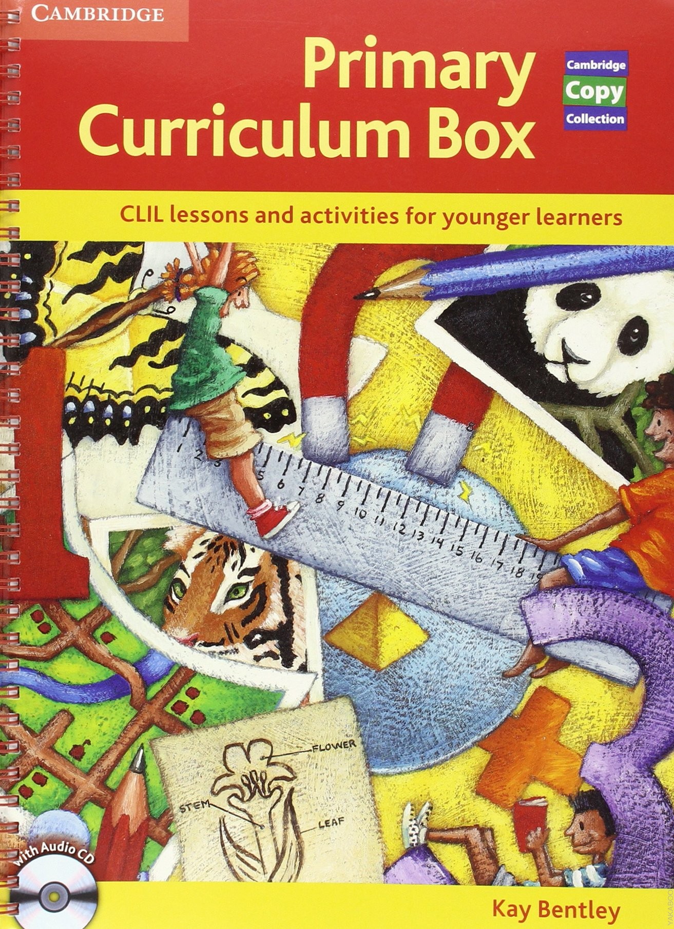 PRIMARY CURRICULUM BOX, CROSS-CURRICULAR TOPIC-BASED LESSONS FOR YOUNGER LEARNERS Book