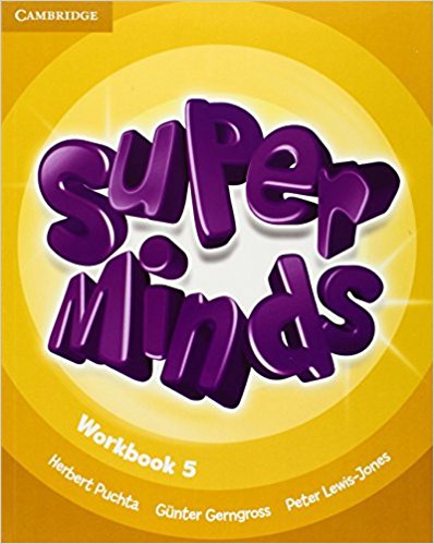 SUPER MINDS  5 Workbook
