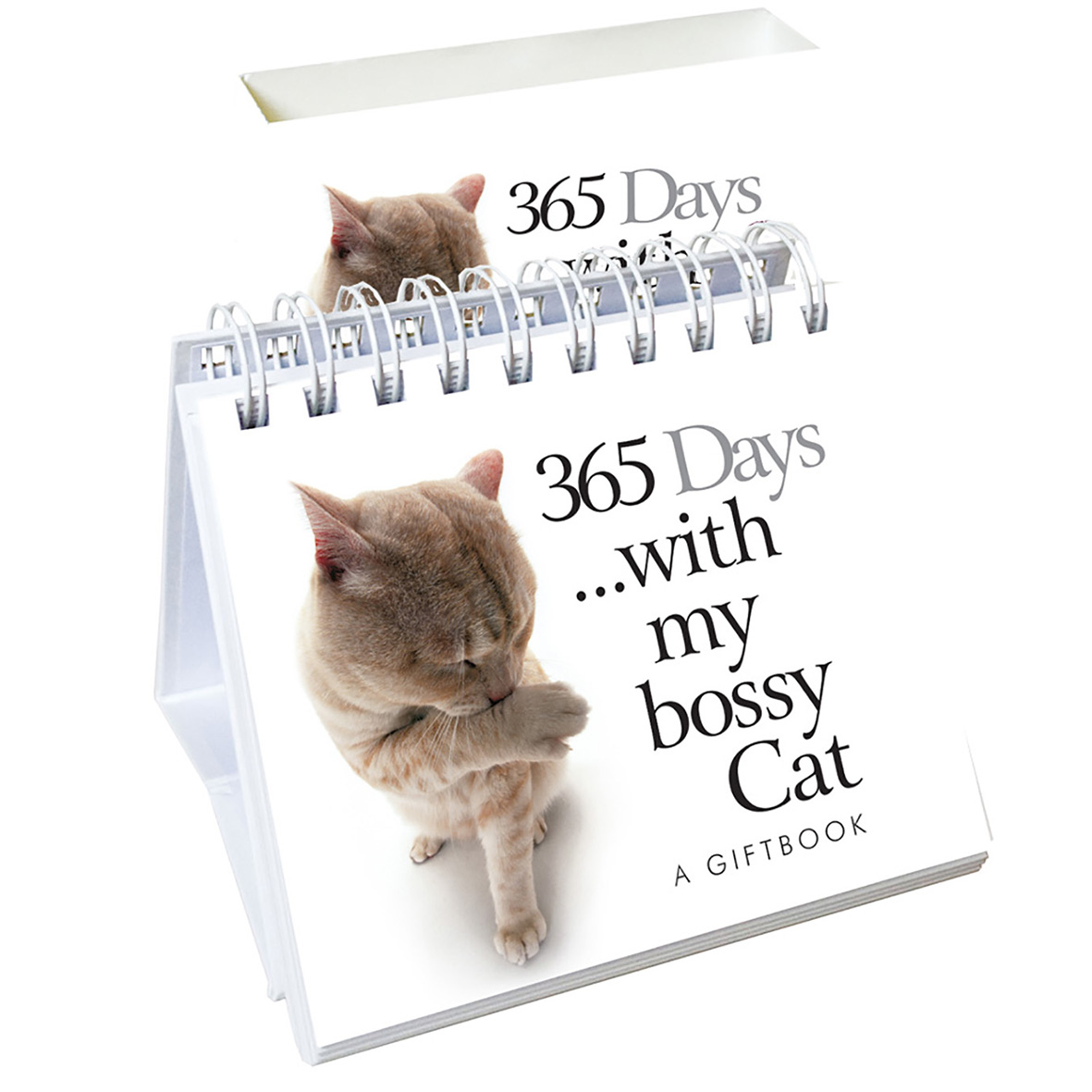 HE 365 Days with my bossy Cat